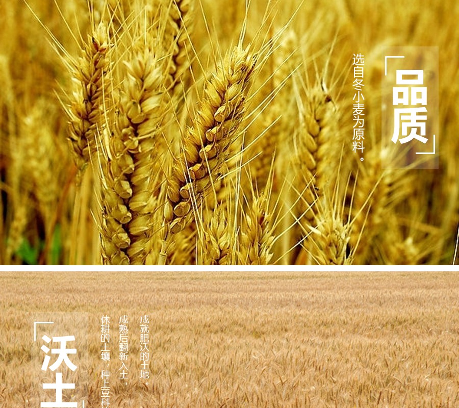 五谷康全麦粉1kg网站详情制作-司连鹏-2014-06-18_03.jpg
