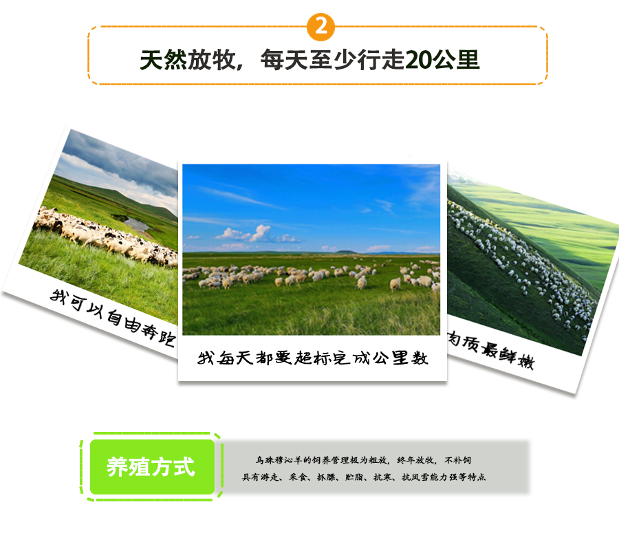 羊棒骨_06.jpg
