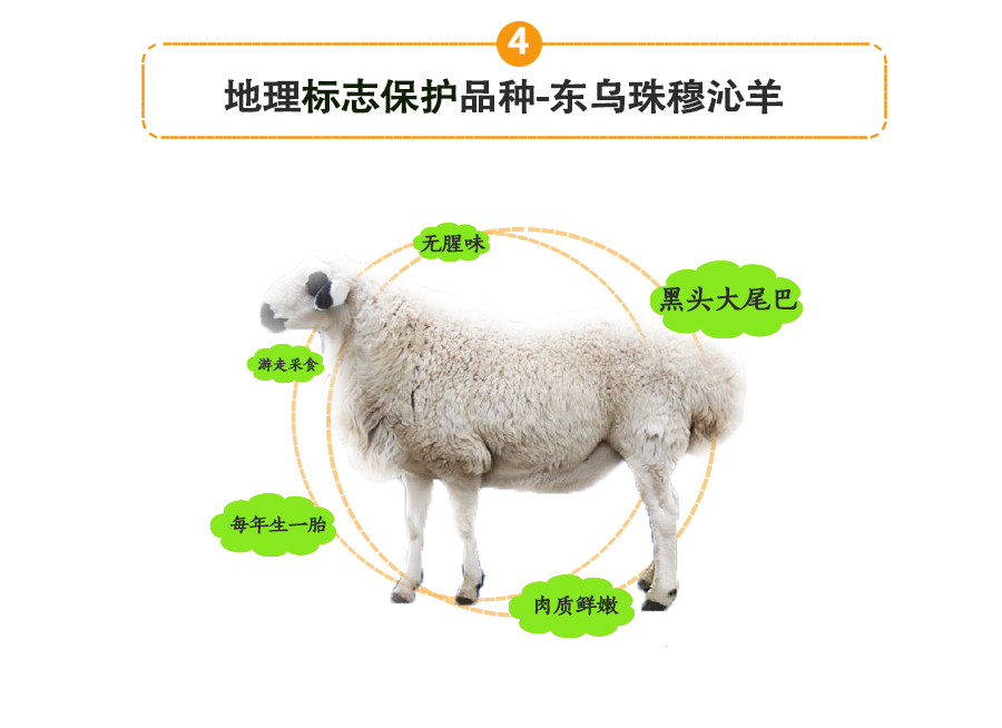 羊棒骨_08.jpg