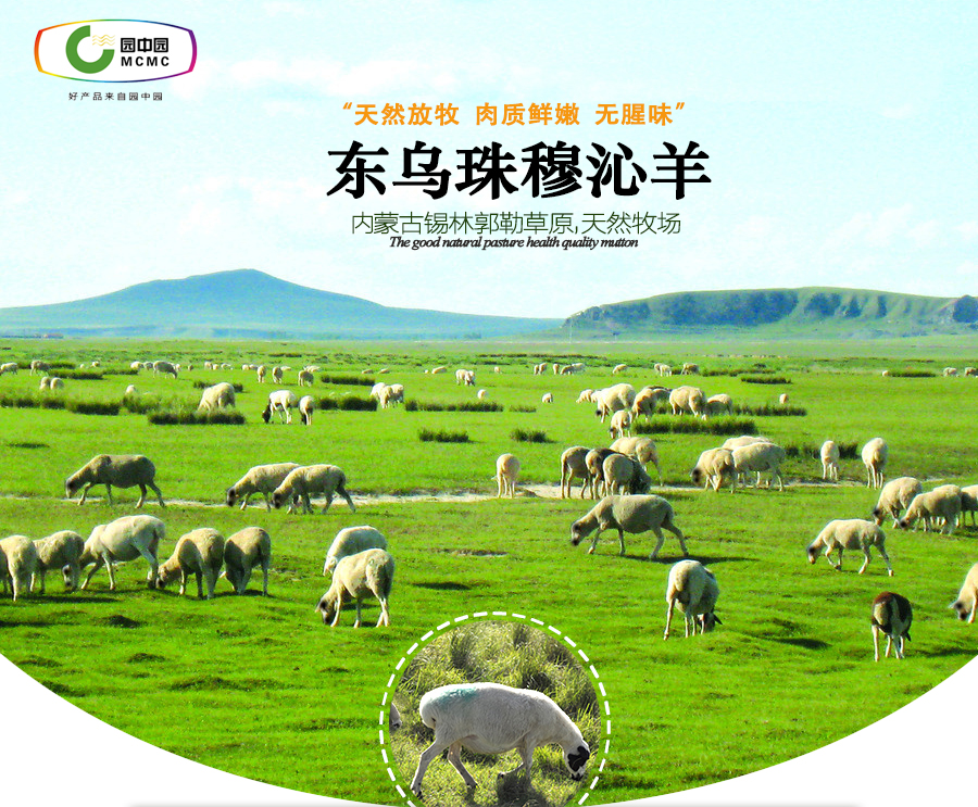 羊后腿_01.jpg