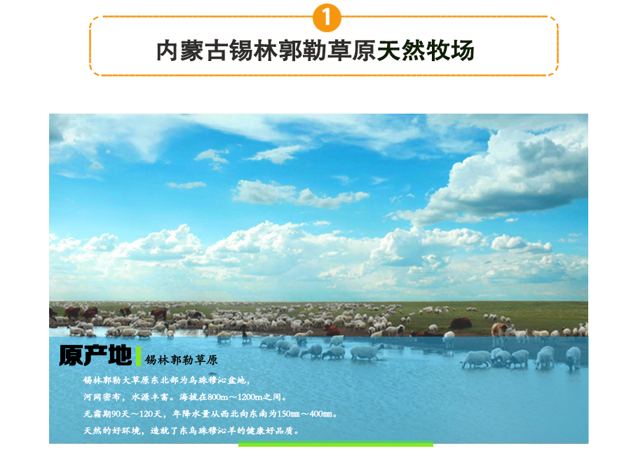 羊后腿_05.jpg
