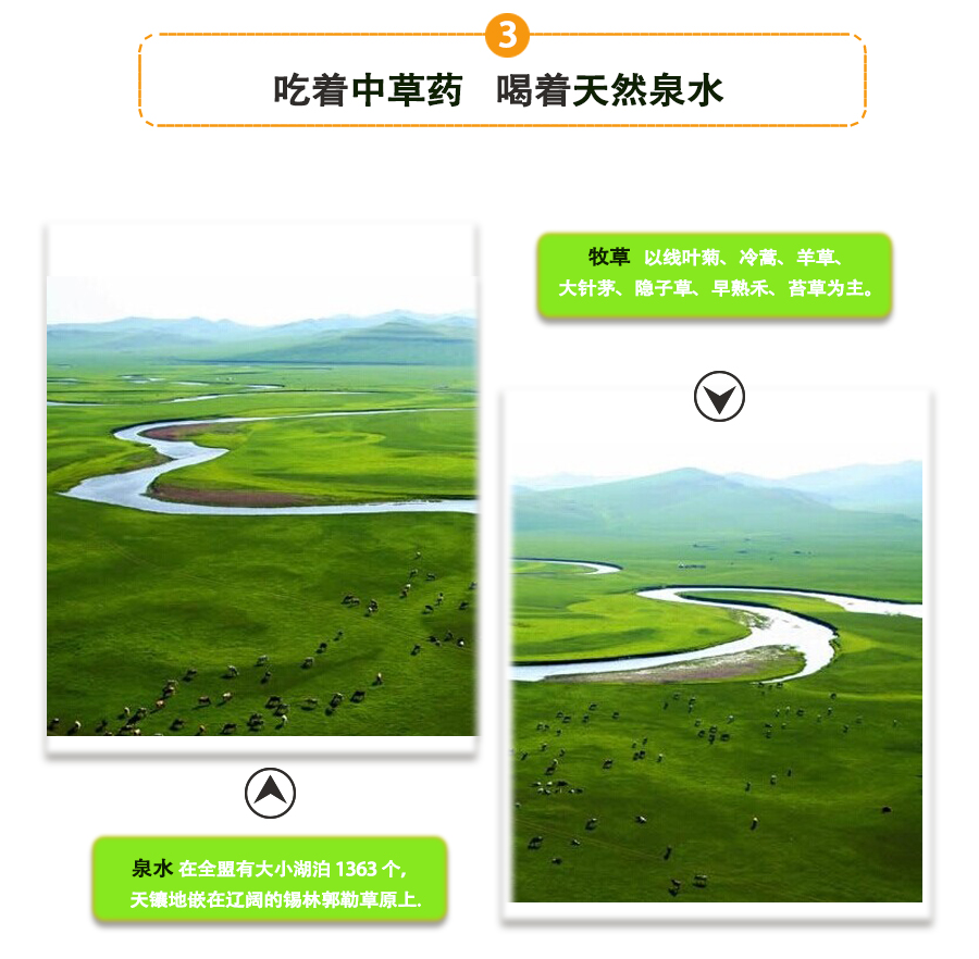 羊后腿_07.jpg