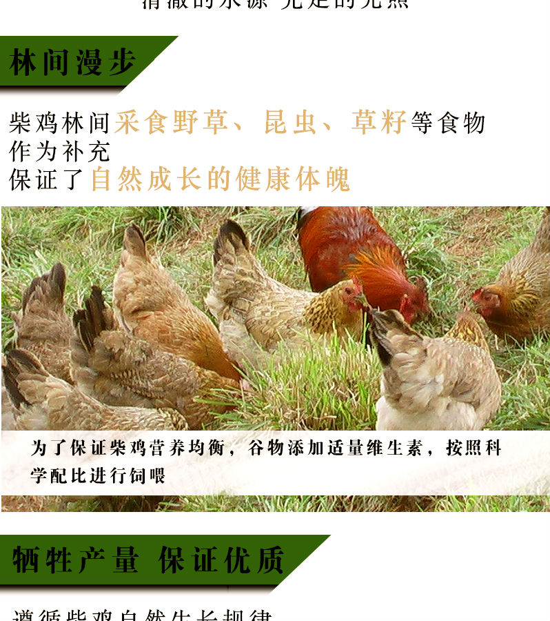 鸡蛋40枚4.jpg