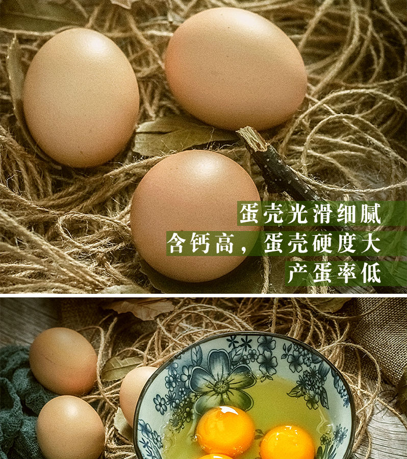 鸡蛋40枚6.jpg