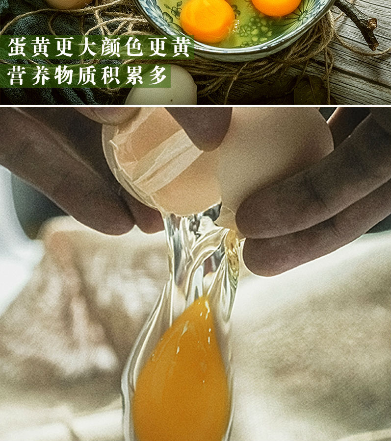 鸡蛋40枚7.jpg