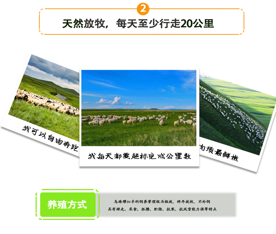 羊肉卷_06.jpg