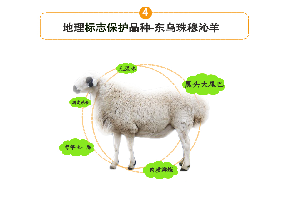 羊排_08.jpg