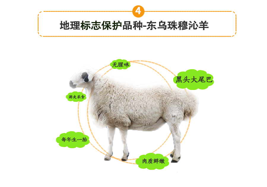 羊肉卷_08.jpg