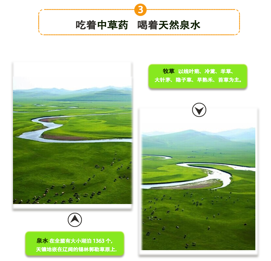 羊蝎子_07.jpg