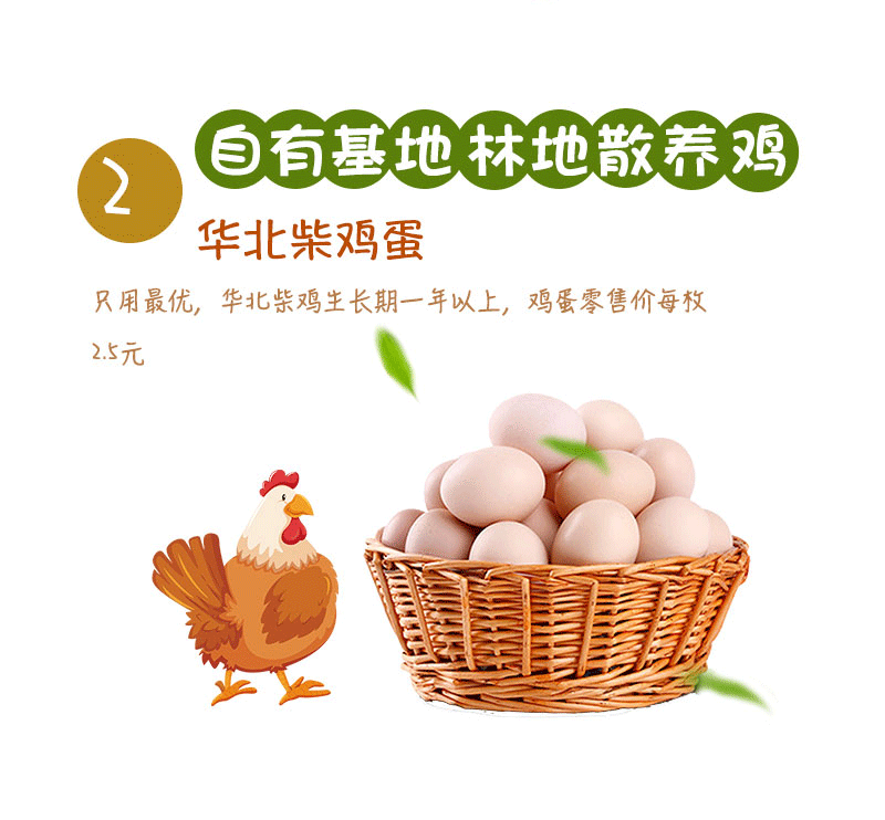 抹茶珍妮小花曲奇_04.gif