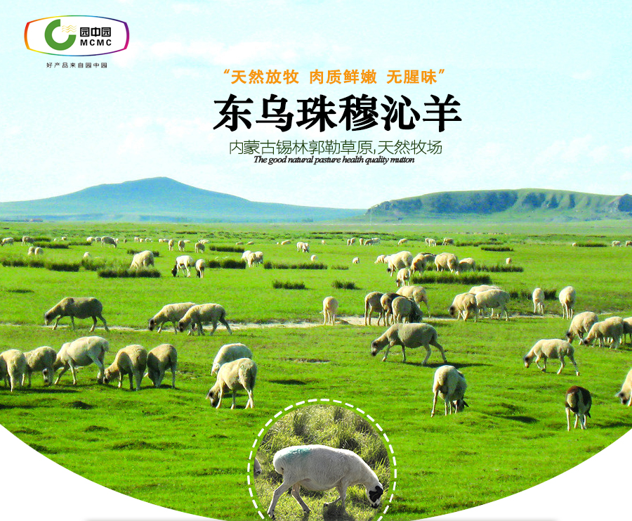 羊肉卷_01.jpg