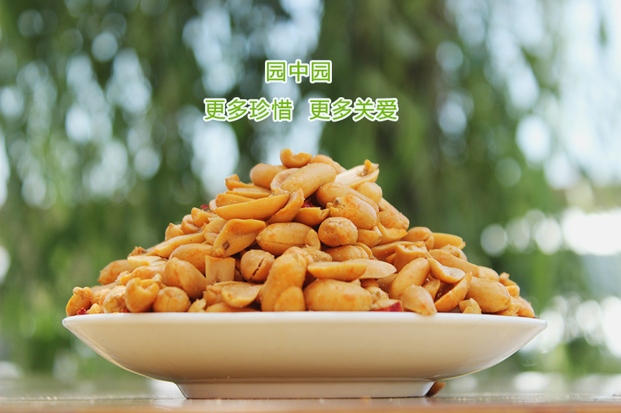 园中园麻辣花生(90g)