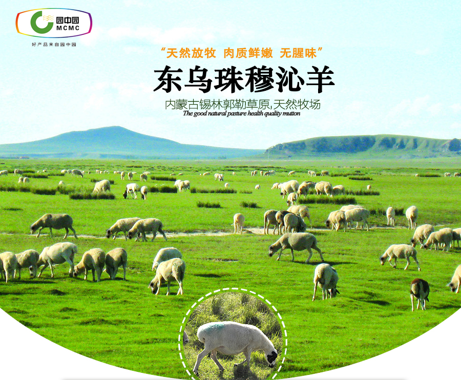 羊排_01.jpg