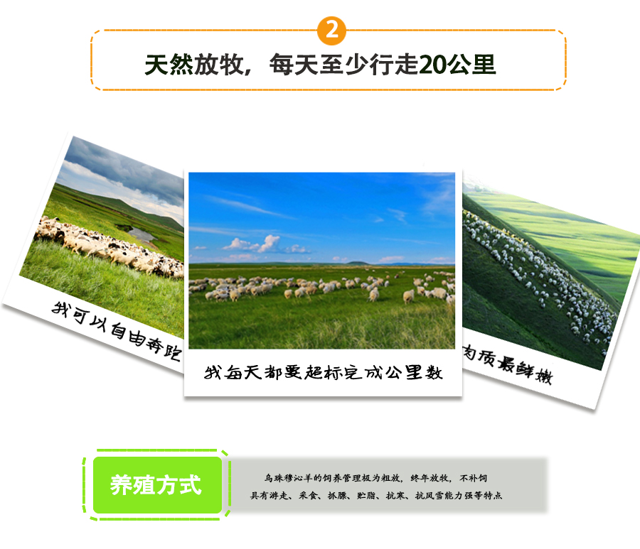 羊蝎子_06.jpg