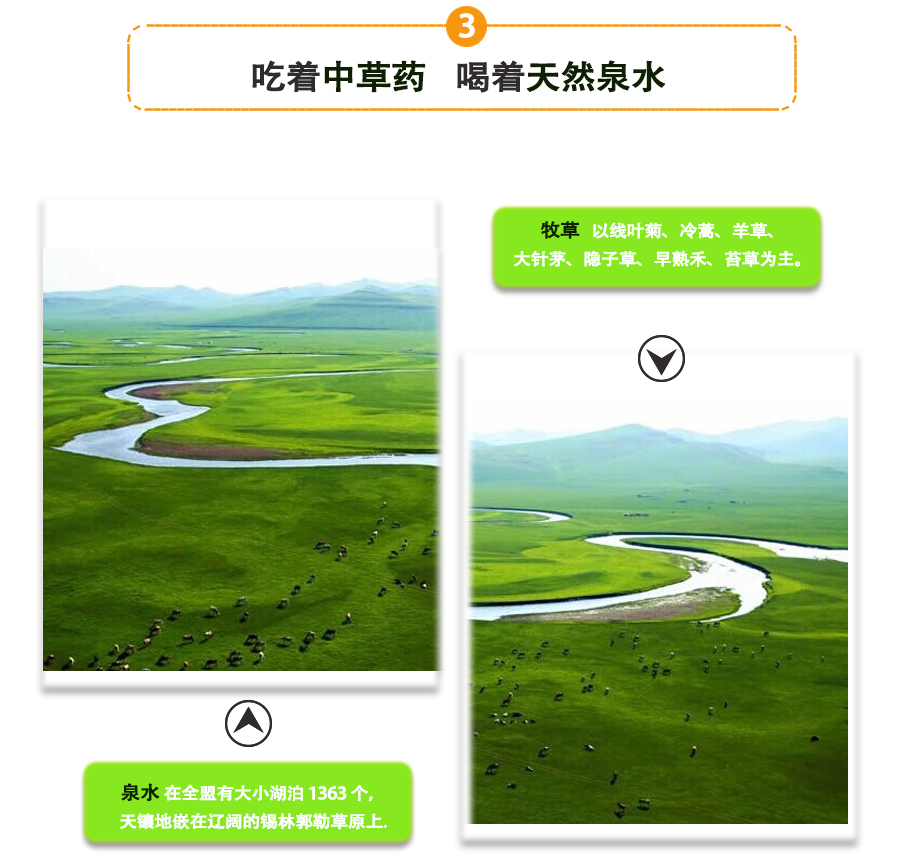 羊肉卷_07.jpg